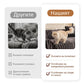 🛋️Husă moale din pluș, antiderapantă, pentru canapea 🧸