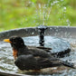 🐦 🌞Kompaktowa pompa do fontanny w kształcie ptaka zasilana energią słoneczną – ożyw swoją ogród!