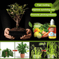 🌿Supliment pentru stimularea creșterii plantelor🌈