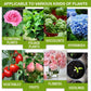 🌿Supliment pentru stimularea creșterii plantelor🌈
