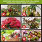 🌿Supliment pentru stimularea creșterii plantelor🌈