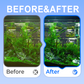 🐠 Filtru acvariu – Apă limpede ca de izvor, fără schimbări dese, peștii sunt vioi