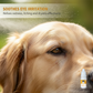 🐕 1+2 gratis 🔥Picături oftalmice delicate pentru animale de companie