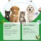 🐶🐱 Spray natural împotriva puricilor și căpușelor – Protejează-ți animalele de companie în mod sigur și eficient 🌿✨