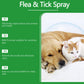 🐶🐱 Spray natural împotriva puricilor și căpușelor – Protejează-ți animalele de companie în mod sigur și eficient 🌿✨