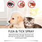 🐶🐱 Spray natural împotriva puricilor și căpușelor – Protejează-ți animalele de companie în mod sigur și eficient 🌿✨