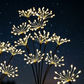 🏆REDUCERE DE 50% ÎN ULTIMA ZI DE VÂNZARE!!Lămpi solare de grădină în formă de artificii, cu țepușă