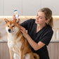 🐶 CUMPĂRĂ 2, PRIMEȘTI 1 GRATIS! 🐱 Soluție delicată pentru curățarea urechilor animalelor – Curățare sigură și rapidă – Cu vârf flexibil din silicon – ideală pentru câini și pisici 🧴👂