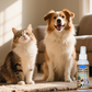 Spray dentar fără periuță pentru animale de companie