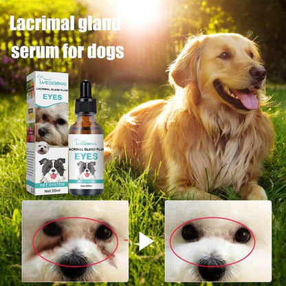 🐱🐶Soluție de curățare și picături pentru ochii animalelor de companie – Formulă delicată, cu pH echilibrat, sigură pentru câini și pisici. Calmează roșeața, îndepărtează petele de lacrimi și murdăria acumulată zilnic. Fără peroxid! 🌿💧