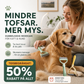🐕 Perie dublă pentru blana animalelor de companie – Îndepărtează smocurile și părul căzut | ECONOMISIȚI astăzi 50 %! ✨
